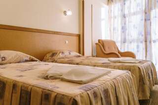 Гостиница Золотая Пальма Хоста Большой двухместный номер с 1 кроватью или 2 отдельными кроватями-4