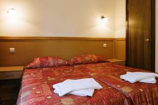 Гостиница Золотая Пальма Хоста Двухместный номер с 1 кроватью или 2 отдельными кроватями-2